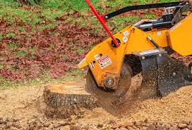 Best Tree Mulching Services  in Sherwood Manor, CT